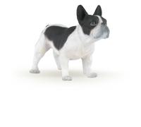 CHIENS ET CHATS Bouledogue français noir et blanc