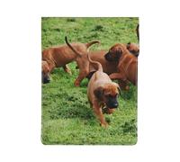 Chiens et Chiots de Rhodesian Ridgeback, Animaux de Compagnie et Famille,Housse en Cuir synthétique pour Ordinateur Portable, Sacoche pour Ordinateur Portable, Sacoche pour Tablette