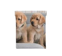 Chiens Golden Retriever Chiots Chiens Labrador, Sac de Rangement pour Femmes, Portefeuille supérieur à Presser, Petit Porte-Monnaie, Pochette de Changement