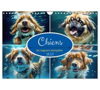Chiens : les nageurs intrépides (Calendrier mural 2027 DIN A4 vertical), CALVENDO calendrier mensuel: Découvrez la magie des chiens sous l'eau.