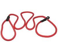 Chiens My Love Corde en nylon Slip Laisse pour chien Collier et laisse Style britannique 1,2 m de long, Small: 1/4" (6mm), Rouge