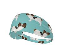 Chiens Papillon, Mignon Petit épagneul,Bandeau de Sport Unisexe, Bandeau élastique Multi-usages pour Cheveux