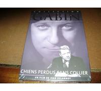 Chiens perdus sans collier