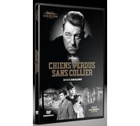 Chiens perdus sans collier