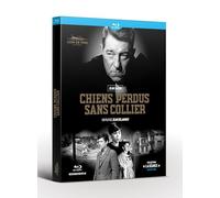 Chiens perdus sans Collier
