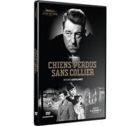 Chiens perdus sans collier Édition Sélection DVD DVD