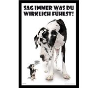 Chiens - Poster - Dis toujours ce que tu penses + cadre interchangeable, Shinsuke® Maxi MDF noir, vitre acrylique