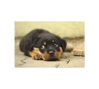 Chiens Rottweiler Chiens Mignons Chiot Animaux de Compagnie Petit, Set de 6 Sets de Table Sets de Table pour Table à Manger Tapis de Plateau résistants à la Chaleur 30x45 cm