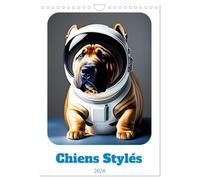 Chiens stylés (Calendrier mural 2026 DIN A4 horizontal), CALVENDO calendrier mensuel: Chiens dans des tenues stylées
