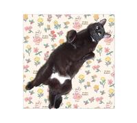 Chiffon de toilettage pour chat | Colle anti-crevaison et anti-rayures | Enveloppe multi-usages pour chat idéale pour les amoureux des animaux et les amis Cat Wrap pour couper les ongles