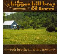 CHIGGER HILL BOYS & TERRI - Oh Brother What Now
