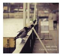 Chihei Hatakeyama - Bare Strata [Import allemand]