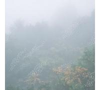 Chihei Hatakeyama - Mist