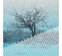 Chihei Hatakeyama - Winter Storm