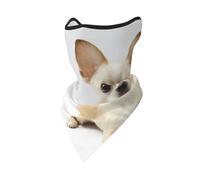 Chihuahua, Animaux isolés, Faune Sauvage, mammifère de Race Pure, Masque Coupe-Vent, Cache-Cou, Protection pour Le Visage en Hiver pour Moto