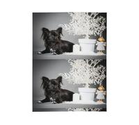 Chihuahua Chiens Noirs Chiots Chiens Noirs,Couverture Chaude en Flanelle Polaire pour literie, canapé et Voyage, 60 x 80 Pouces