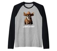 Chihuahua drôle et Espagnol - Que s est-il passé? Manche Raglan
