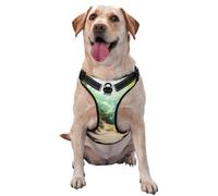 Chihuahua in Tropical Forests Harnais de qualité supérieure pour chiens de petite, moyenne et grande taille - Durable, ne tire pas avec sangles réfléchissantes et boucles à dégagement rapide Taille L
