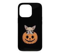 Chihuahua Mignon en Citrouille drôle Chien Halloween Coque pour iPhone 13 Pro