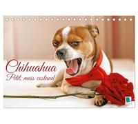 Chihuahua : petit, mais costaud (Calendrier de bureau 2027 DIN A5 vertical), CALVENDO calendrier mensuel: Chihuahua : Curieux, agile et toujours prêt pour l'aventure