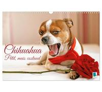 Chihuahua : petit, mais costaud (Calendrier mural 2027 DIN A3 vertical), CALVENDO calendrier mensuel: Chihuahua : Curieux, agile et toujours prêt pour l'aventure