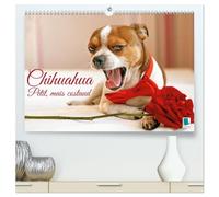 Chihuahua : petit, mais costaud (Calendrier mural haut de gamme 2027 DIN A2 vertical), CALVENDO calendrier mensuel: Chihuahua : Curieux, agile et toujours prêt pour l'aventure