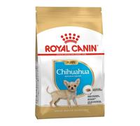 Chihuahua Puppy | Croquettes pour Chiots | 500 g | Jusqu’à 8 Mois | Royal Canin | Aliment complet | Pour l’apport quotidien en croissance | Croquettes adaptées à la mâchoire des petits chiens