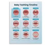 Child Tooth Sequence Poster for Pediatric Waiting Room and Family Education