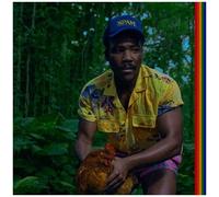 Childish Gambino – Bando Stone and the New World – Vinyle (LP)
