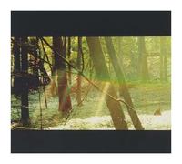 Childish Gambino - Camp [Cd]