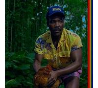 Childish Gambino - Childish Gambino - Brando Stone and The New World