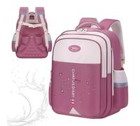 Children's Backpack - Waterproof, Large Capacity | Ergonomic Schoolbag | Compact 42x32x18cm Canvas Shell | Ergonomic Weight Reducing Support Bracket | Large Capacity Backpack Set With Chest Strap