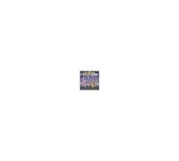 Children's Christmas Carols And Songs