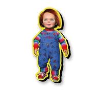 CHILD'S PLAY: CHUCKY FUNKY CHUNKY MAGNET NMR DISTRIBUTION