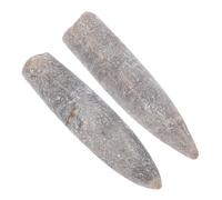 CHILDWEET 2 pièces Spécimens Bélemnite Naturels pour Enseignement Géologie Paléontologie Kit Fossiles Éducatif Collection Scientifique