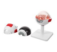 CHILDWEET Modèle Anatomique de L'œil Réaliste en Pvc Léger Structure Agrandie pour Enseignement Scientifique et Affichage Médical en Hôpital