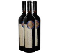 Chili Vina Sena - Rouge 2009 - Domaine Sena - Vin Rouge duChili (3x75cl)