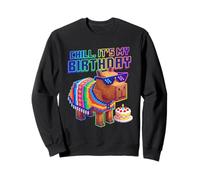 Chill. It's My Birthday Capybara Pixel Poncho Sweatshirt
