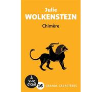 Chimere Grands caractères, édition accessible pour les malvoyants - Julie Wolkenstein - A Vue D'oeil - broché - Roman