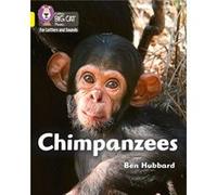 Chimpanzees by Ben Hubbard Ben Hubbard (Auteur)