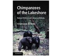 Chimpanzees Of The Lakeshore