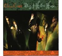 CHINA CRISIS - Diary of a Hollow Horse (1989) [Import]