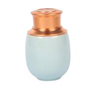 China Longquan Celadon - Bouteille de pilules portable scellée à couvercle haut - Bocal scellé multifonction pour thé, café en poudre, fruits secs, bonbons, pilules vitaminées (bleu)