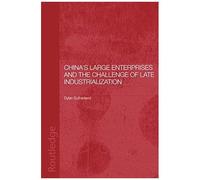 China's Large Enterprises And The Challenge Of Late Industrialisation