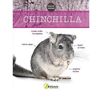 Chinchilla