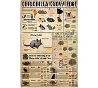 Chinchilla Knowledge Metal Comment identifier la couleur de votre pelage Affiche Maison Chambre Salle d'école Café Décoration murale Plaque rétro Signe en étain 8x12 pouces