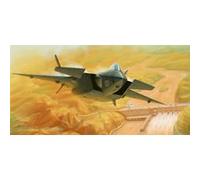 Chinese J-20 Mighty Dragon (prototype No.2011)- 1:72e - Trumpeter G