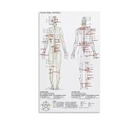 Chinese Medicine Chart Canvas Poster Five Elements Theory Energy Meridian Wall Art for Yoga Studio Acupuncturist Office Decor(Framed,12X18inch(30X45cm))