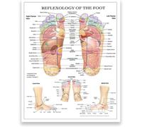 Chinese Medicine Foot Meridian Chart Reflexology Acupressure Points Anatomy Poster Wall Art Home Office Decor Gift