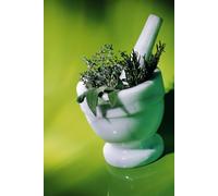 Chinese Natural Medicine: A Journey from Illness to Wellness, and from Wellness to Holistic Health: Chinese Natural Medicine